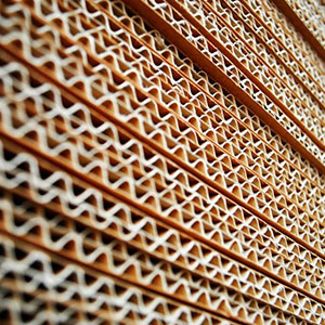 carton